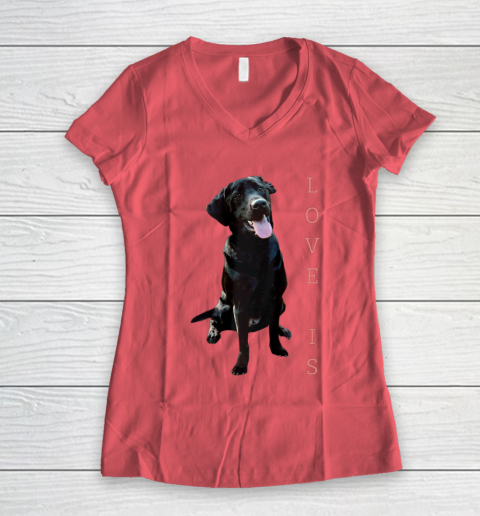 Dog Mom Shirt Labrador Retriever Shirt Women Men Kids Black Lab Dog Mom Women's V-Neck T-Shirt 4