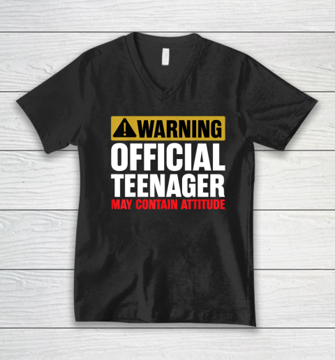 13 Birthday Official Teenager Boy 13yr Math 13th Birthday V-Neck T-Shirt