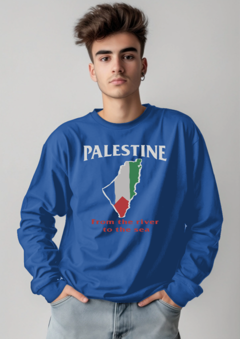 hpaj palestine from the river to the sea long sleeve tee 14 front royal