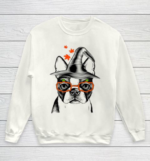Cute Boston Terrier Witch Pumpkin Fall Halloween Dog Youth Sweatshirt