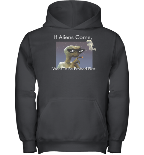 If Aliens Come I Want To Be Probed First Youth Hoodie