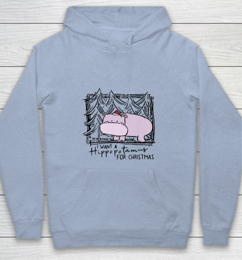 I Want A Hippopotamus For Christmas Hippo for Kid Women Men Youth Hoodie 5