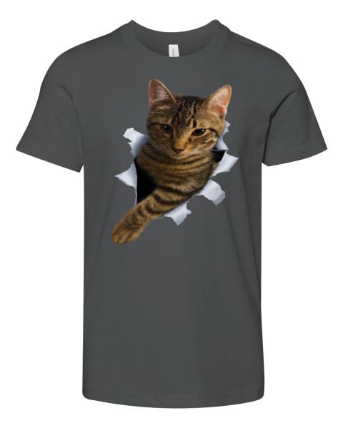 Domestic Shorthair Cat Premium Premium Youth T-shirt