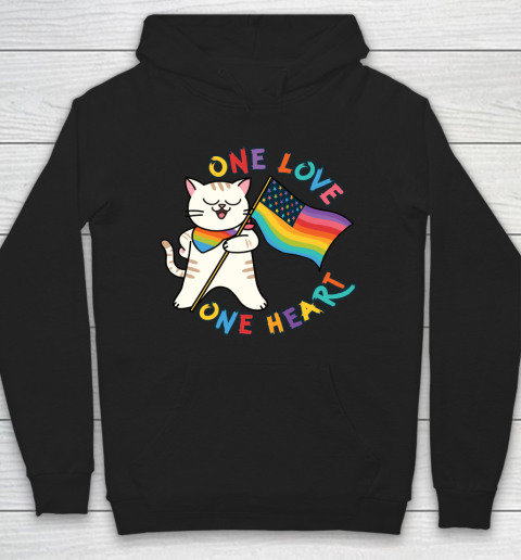Independence Day 4th Of July Proud American Gay Kitten Hoodie