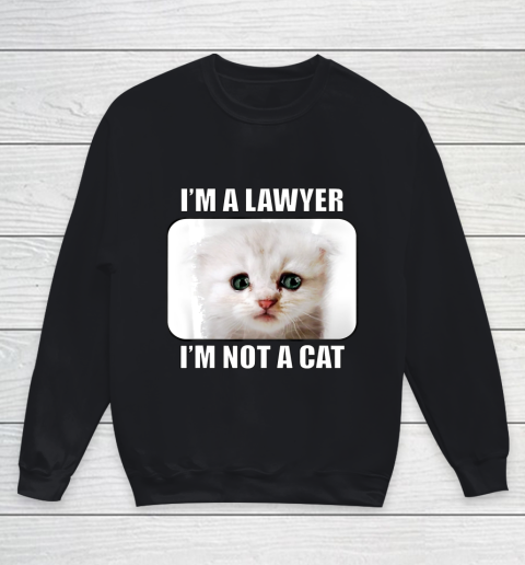 I m a Lawyer I m not a cat Youth Sweatshirt