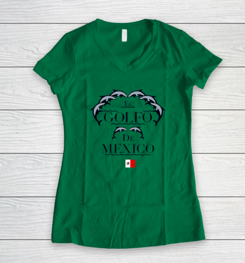 El Golfo De México Dolphin Women's V-Neck T-Shirt 3