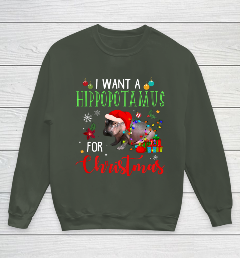 I Want A Hippopotamus For Christmas Hippo Fiona Youth Sweatshirt 8