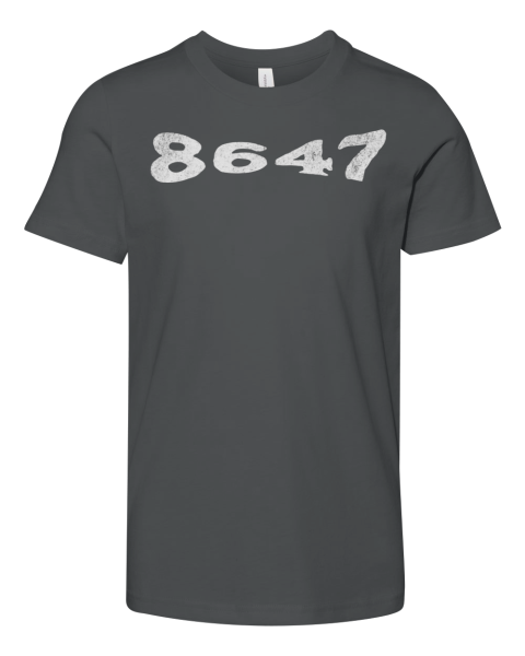 8647 Shirt Retro Subtle Anti Trump Premium Youth T-shirt