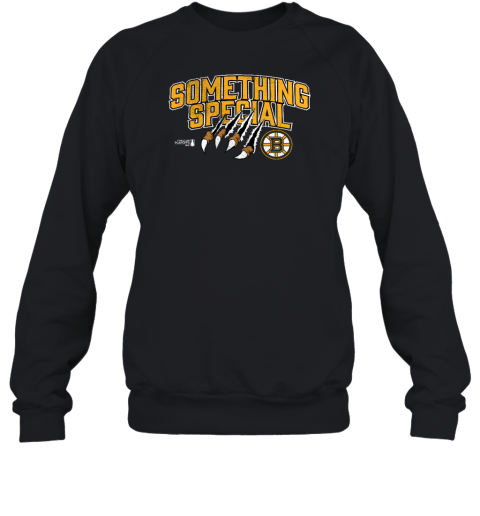 Boston Bruins 2023 Stanley Cup Playoffs Something Special Sweatshirt