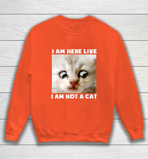 I Am Here Live I Am Not A Cat Funny Lawyer Cat Meme Sweatshirt 3