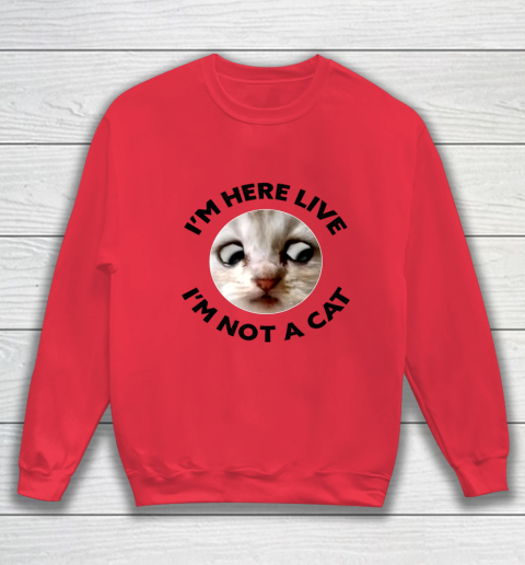 I m Here Live I m Not a Cat Zoom Cat Meme Humor Gifts Sweatshirt 6