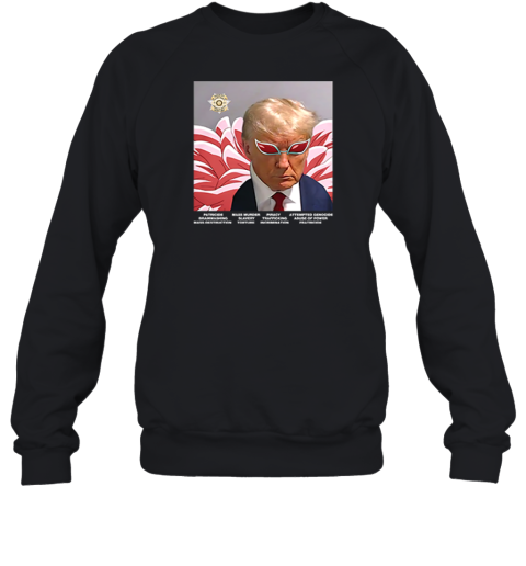 Trump Villain Parody Premium Sweatshirt