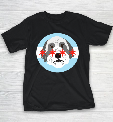 Doodle Dog Chicago Flag Youth T-Shirt