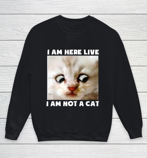 I Am Here Live I Am Not A Cat Funny Lawyer Cat Meme Youth Sweatshirt