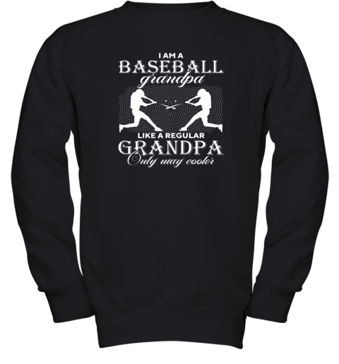 I Am A Baseball Grandpa  Only Way Cooler Funny Gift Youth Sweatshirt