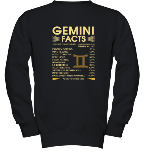 Zodiac Gemini Facts Awesome Zodiac Sign Daily Value Youth Sweatshirt