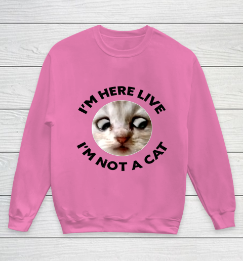 I m Here Live I m Not a Cat Zoom Cat Meme Humor Gifts Youth Sweatshirt 3