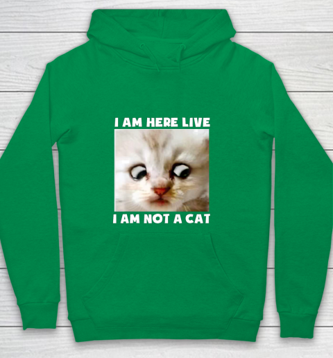 I am outlet a cat sweatshirt