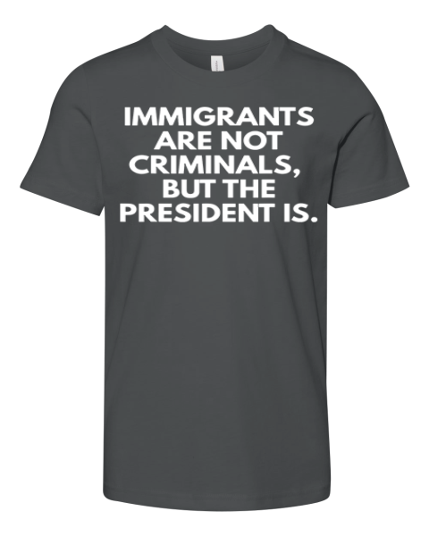 Immigrants Are Not Criminals But The President Is Premium Youth T-shirt