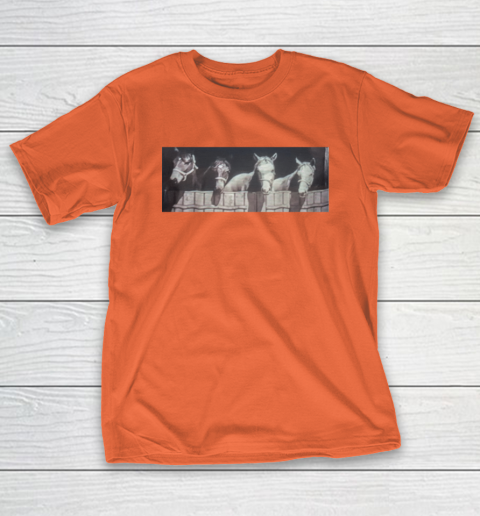 Orange rays shirt best sale
