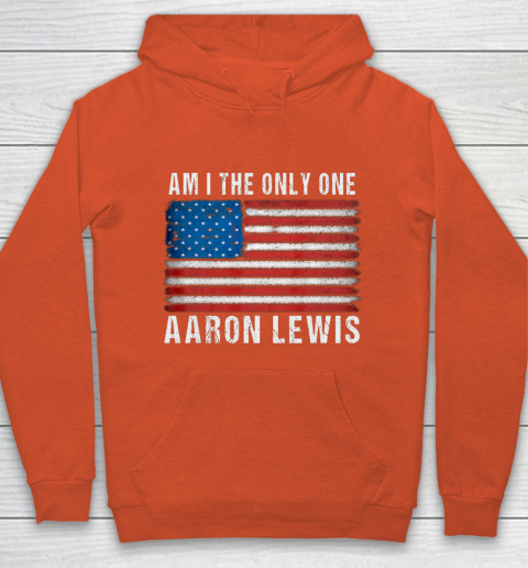 Am I The Only One Aaron Lewis Flag USA Hoodie 3