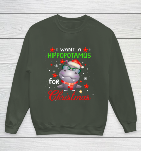 I Want A Hippopotamus For Christmas Funny Hippo Gifts Youth Sweatshirt 8
