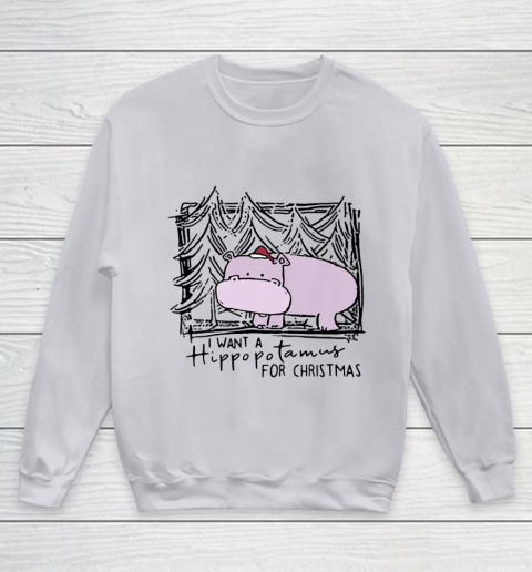 I Want A Hippopotamus For Christmas Hippo for Kid Women Men Youth Sweatshirt 2