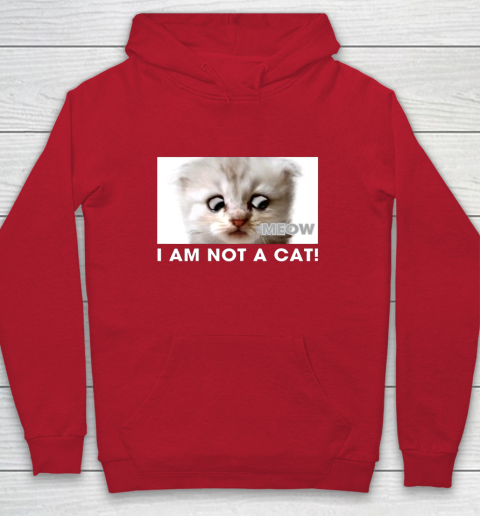 I am not a cat shirt funny video zoom call cat Hoodie 7