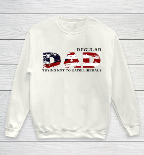 Regular Dad Trying Not To Raise Liberal American USA Flag Youth Sweatshirt