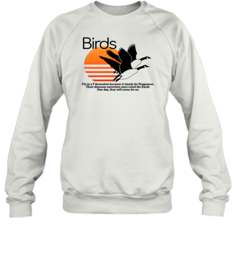 Birds Fly In A V Formation Because It Stands For Vengeance Sweatshirt