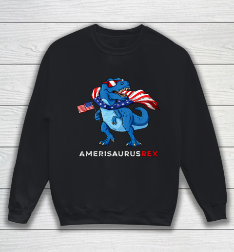 4th Of July Amerisaurus T Rex Dinosaur Boys Kids Teens Sweatshirt