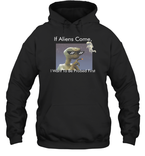 If Aliens Come I Want To Be Probed First Hoodie