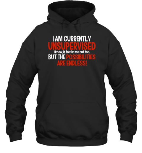 I Am Currently Unsupervised I Know It Freaks Me Out Too But The Possibilities Are Endless Hoodie