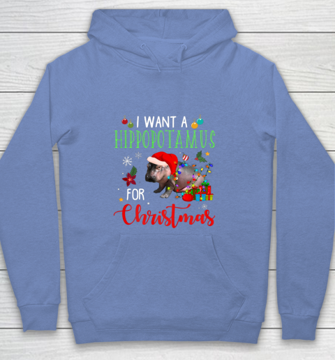 I Want A Hippopotamus For Christmas Hippo Fiona Youth Hoodie 8