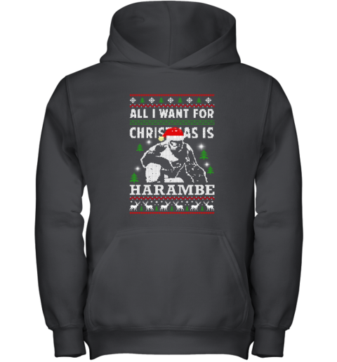 All I Want For Christmas Is Harambe Christmas Youth Hoodie