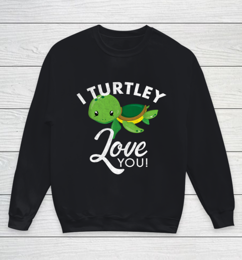 Cute Valentines Turtle I Turtley Love You Valentine Gift Youth Sweatshirt