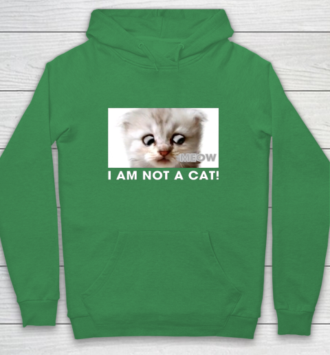 I am not a cat shirt funny video zoom call cat Hoodie 5