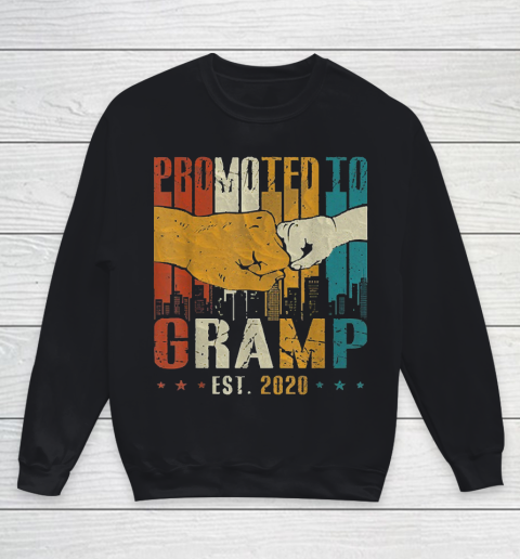 Grandpa Funny Gift Apparel  New Grandpa Father's Day Gifts Promoted To Youth Sweatshirt
