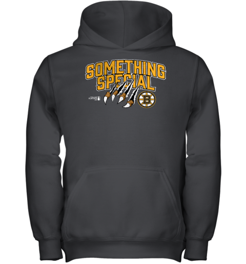 Boston Bruins 2023 Stanley Cup Playoffs Something Special Youth Hoodie