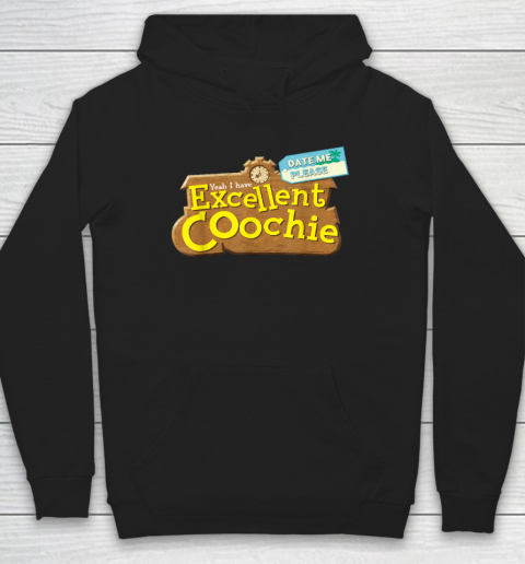 Date Me Please Yeah I Have Excellent Coochie Funny Saying Hoodie