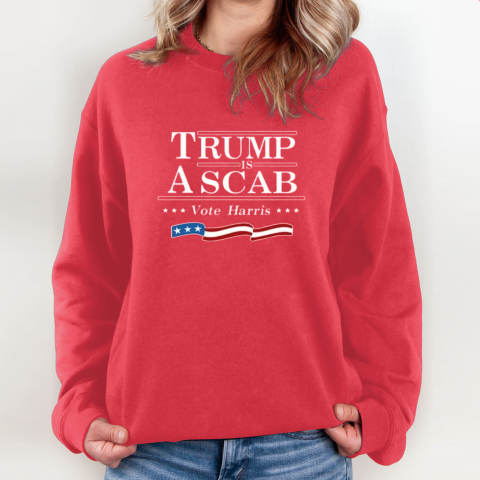Trump Is A Scab Vote Harris Flag 2024 Sweatshirt