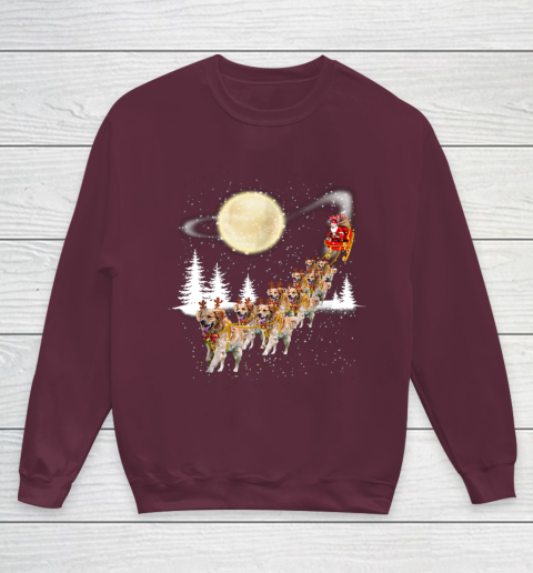Golden Retriever Reindeer Christmas Youth Sweatshirt 4