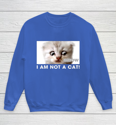 I am not a cat shirt funny video zoom call cat Youth Sweatshirt 6