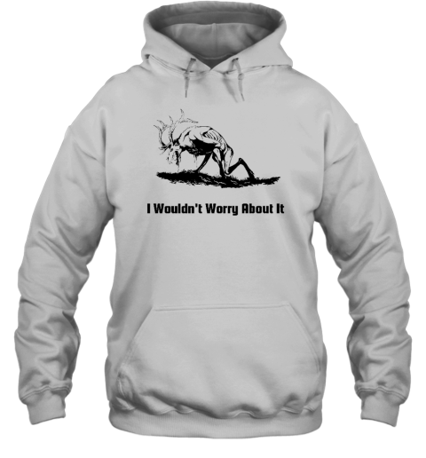 I Wouldn't Worry About It Hoodie