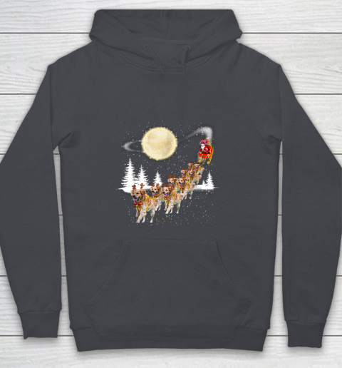 Golden Retriever Reindeer Christmas Youth Hoodie 5