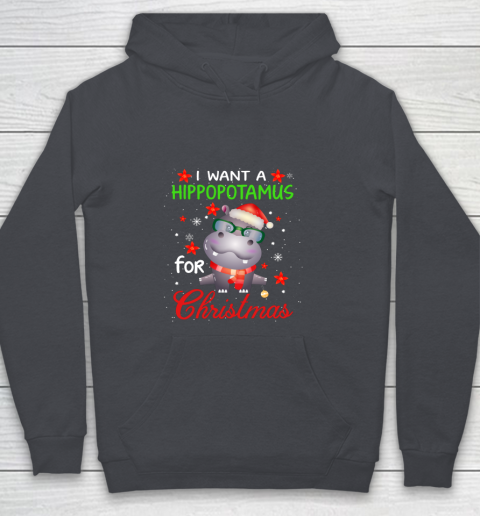I Want A Hippopotamus For Christmas Funny Hippo Gifts Youth Hoodie 5