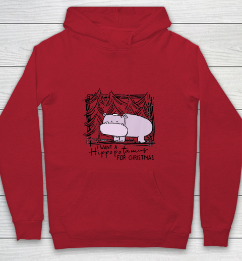 I Want A Hippopotamus For Christmas Hippo for Kid Women Men Youth Hoodie 6