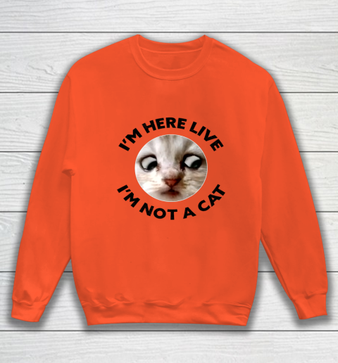I m Here Live I m Not a Cat Zoom Cat Meme Humor Gifts Sweatshirt 2